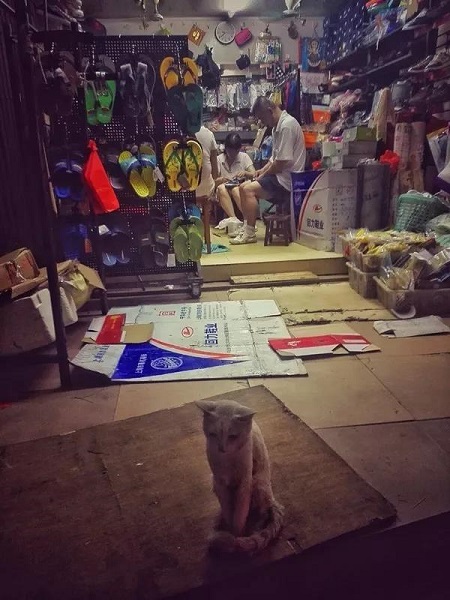 微信圖片_20171012154753.jpg