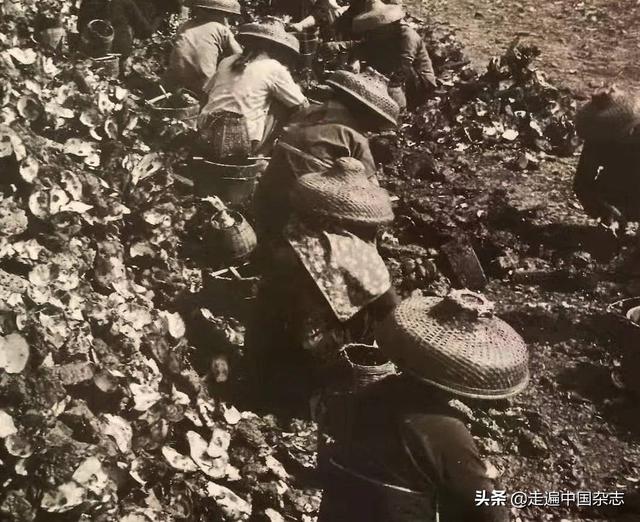微信圖片_20191101094213.jpg