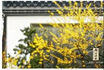 微信圖片_20200326155325.jpg