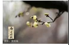 微信圖片_20200326155706.jpg