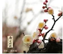 微信圖片_20200326155808.jpg