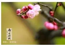 微信圖片_20200326155846.jpg