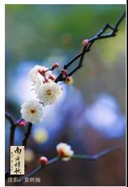 微信圖片_20200326160047.jpg
