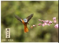 微信圖片_20200326160425.jpg