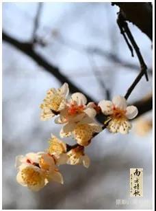 微信圖片_20200326160923.jpg