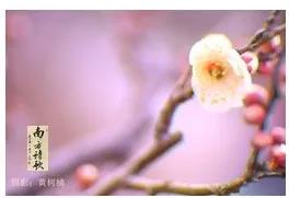 微信圖片_20200326160935.jpg