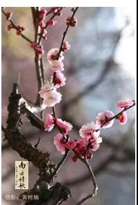 微信圖片_20200326160938.jpg