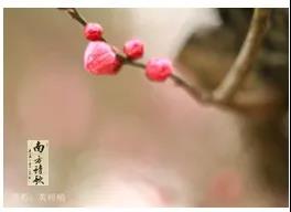微信圖片_20200326160942.jpg