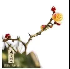 微信圖片_20200326161053.jpg