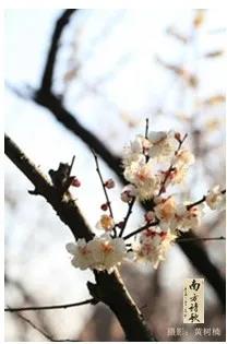 微信圖片_20200326161144.jpg