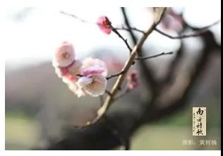 微信圖片_20200326161148.jpg