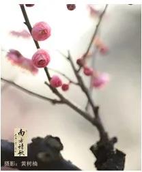 微信圖片_20200326161151.jpg