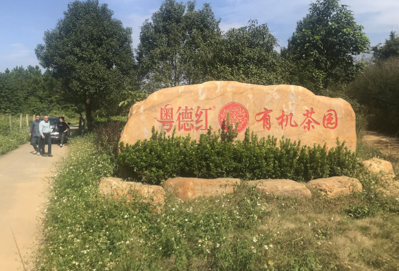 微信圖片_20201102153237.png